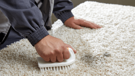 Professional Rug Cleaning Fawkner